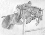 Show Jumper