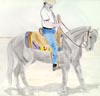 Western Horse